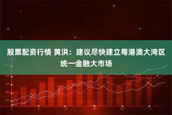 股票配资行情 黄洪：建议尽快建立粤港澳大湾区统一金融大市场