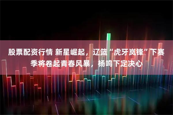 股票配资行情 新星崛起，辽篮“虎牙岚锋”下赛季将卷起青春风暴，杨鸣下定决心