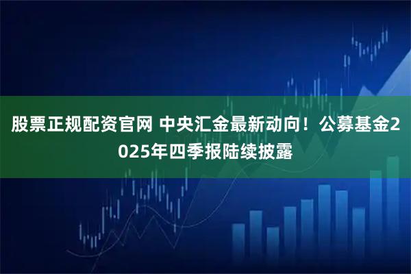 股票正规配资官网 中央汇金最新动向！公募基金2025年四季报陆续披露