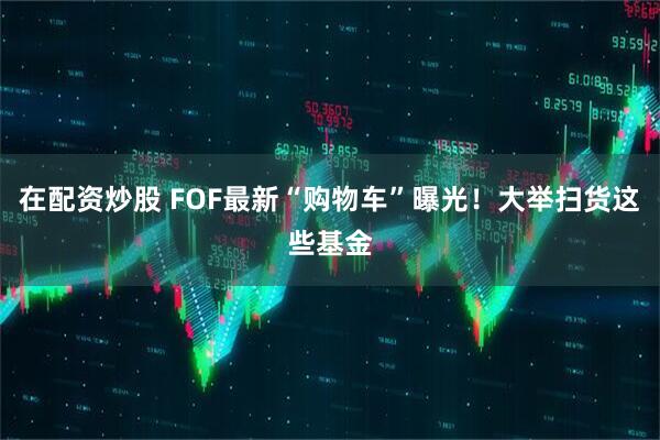 在配资炒股 FOF最新“购物车”曝光！大举扫货这些基金
